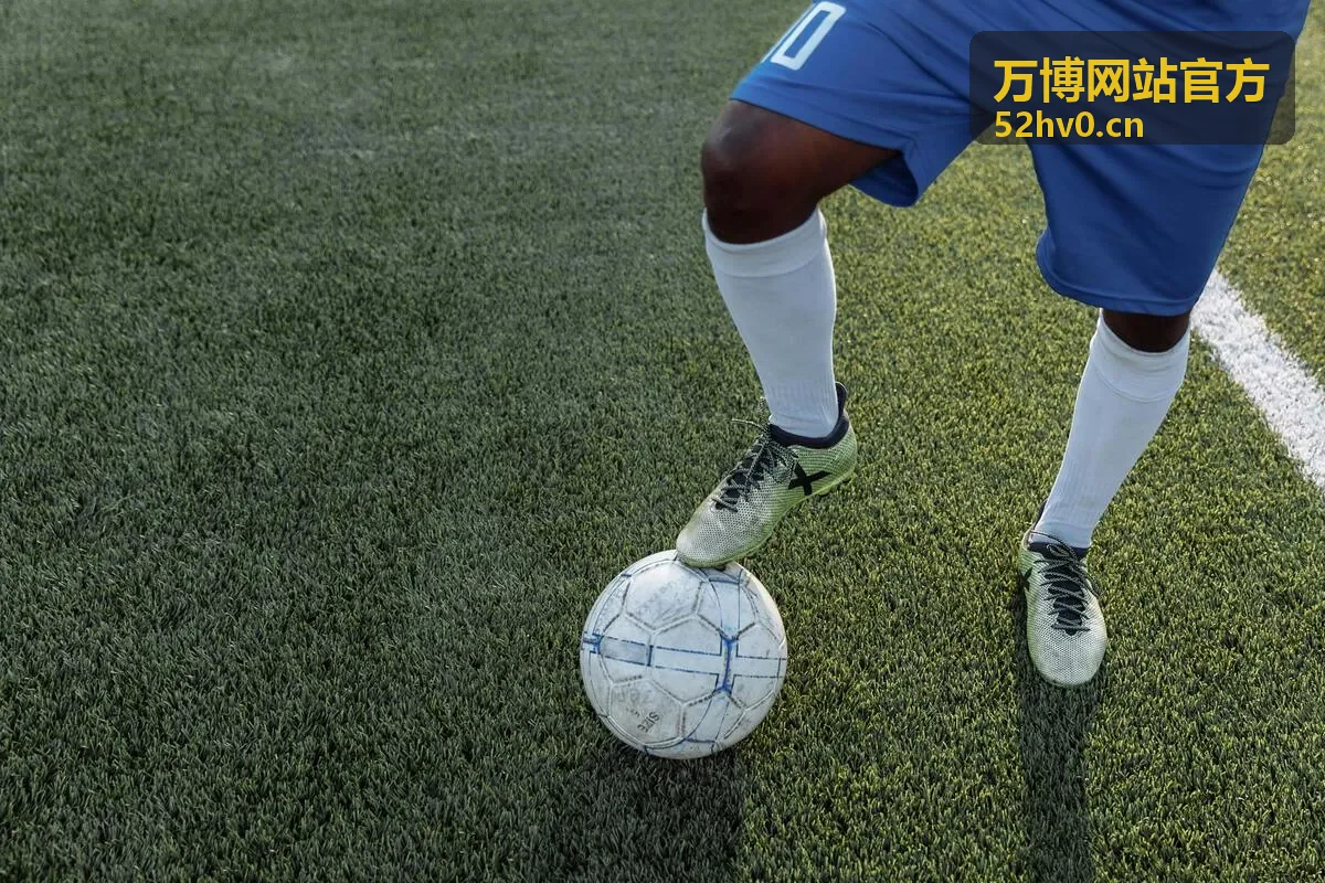 万博网站官方品牌信息公开服务
