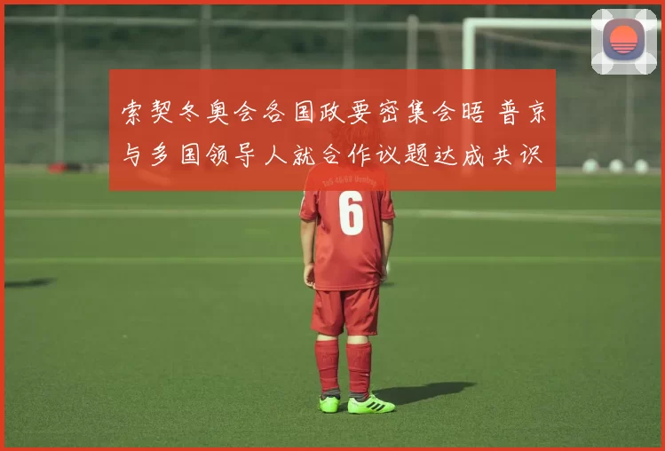 索契冬奥会各国政要密集会晤 普京与多国领导人就合作议题达成共识