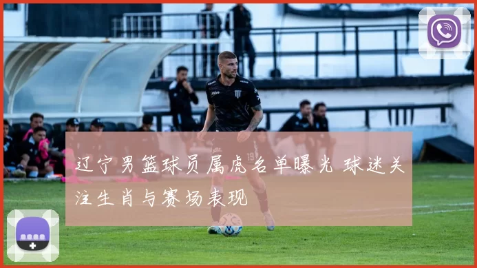 辽宁男篮球员属虎名单曝光 球迷关注生肖与赛场表现