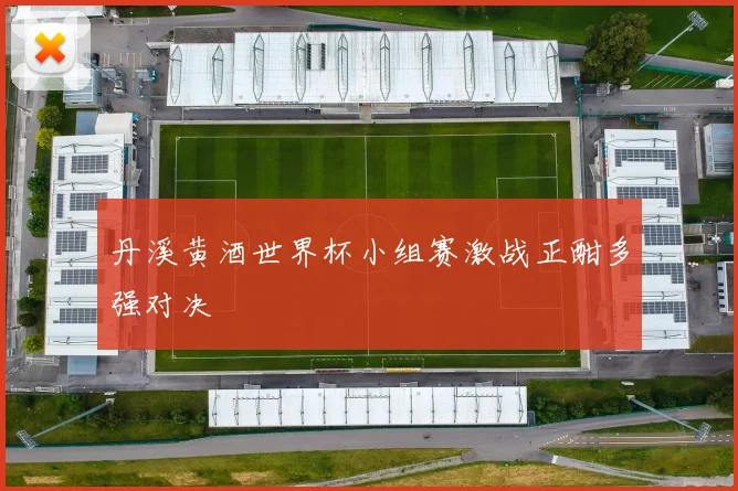 丹溪黄酒世界杯小组赛激战正酣多强对决