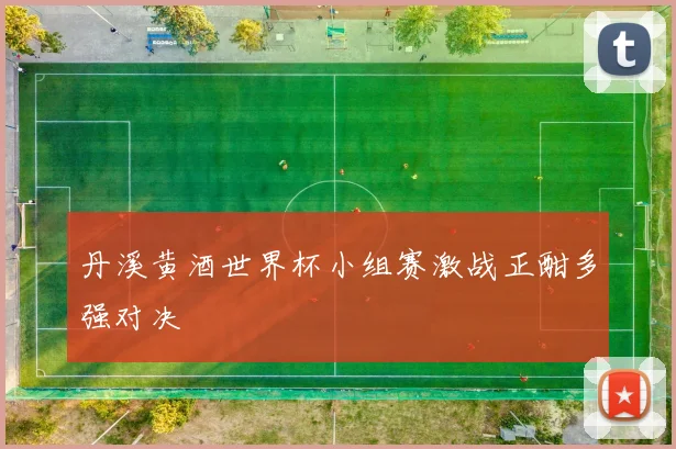 丹溪黄酒世界杯小组赛激战正酣多强对决
