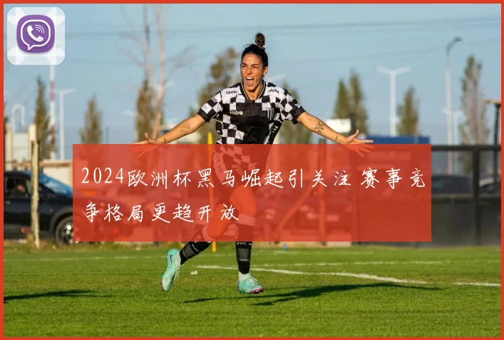 2024欧洲杯黑马崛起引关注 赛事竞争格局更趋开放